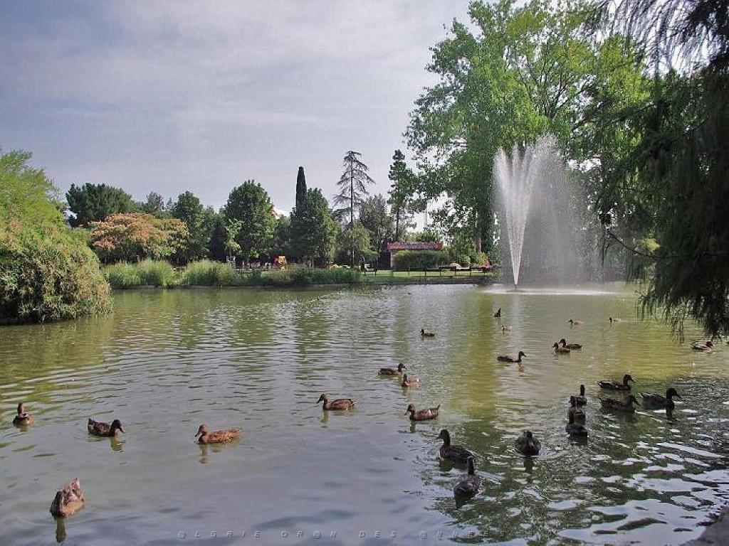 183 D35 PARC OLBIUS RIQUIER A HYERES_000045.jpg